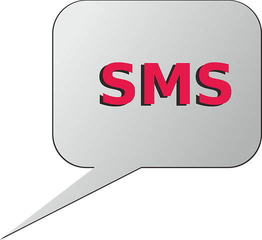 Consolider sa stratégie marketing par la campagne SMS