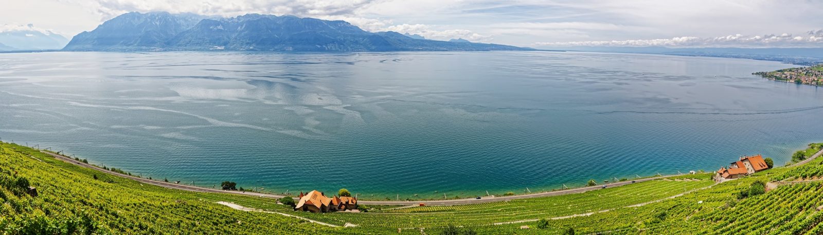 Les vins suisses souffrent-ils  d’un déficit de promotion ?