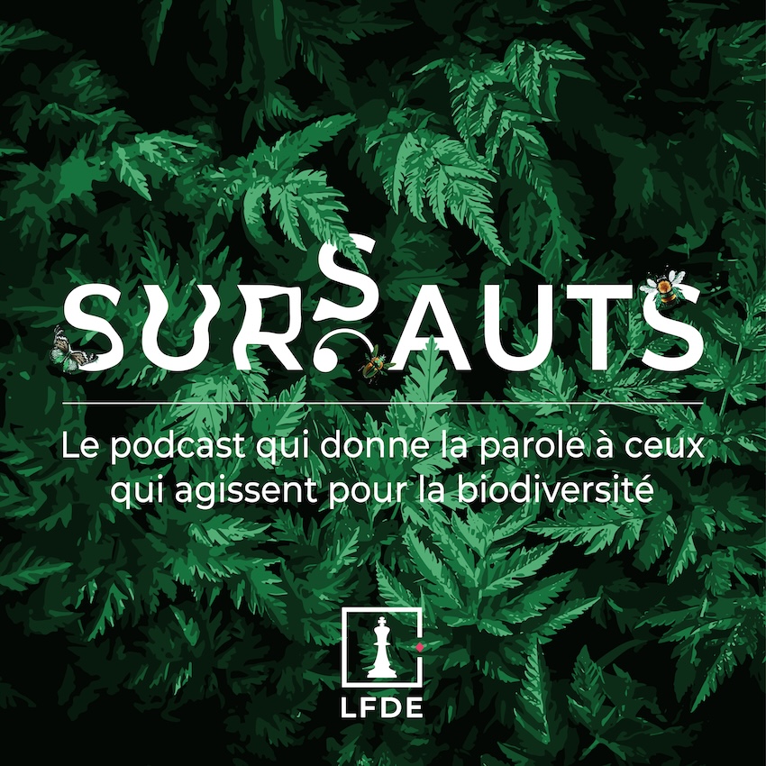 La Financière de l’Echiquier lance « Sursauts », un podcast pédagogique dédié à la biodiversité